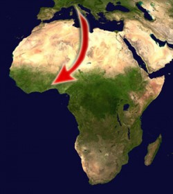 Daloga anche in Africa